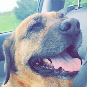 Meet your Posher, Gabby